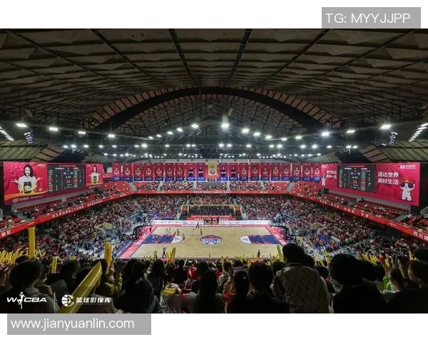 南京篮球队实力揭秘：从历史到未来的全景分析与展望